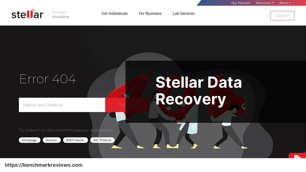 https://www.stellarinfo.com/data-recovery-software.php screenshot
